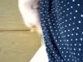 バナナおな 主婦ももか